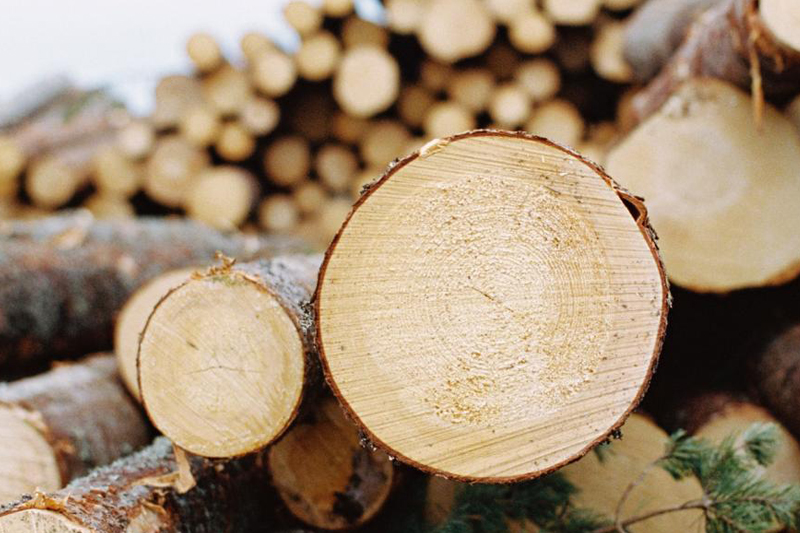 木材合法性与可持续性