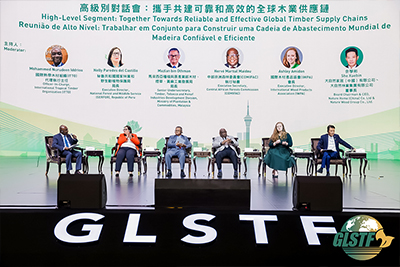 主论坛高级别对话会